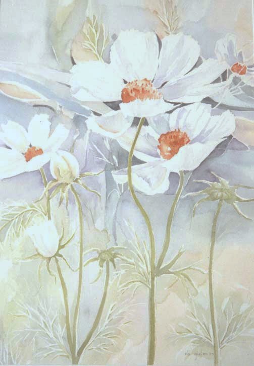 Cosmos 70-90  350€.jpg