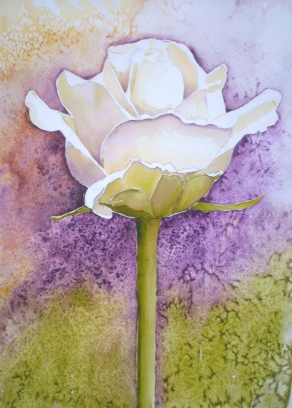 De roos 68-95.  325€.JPG