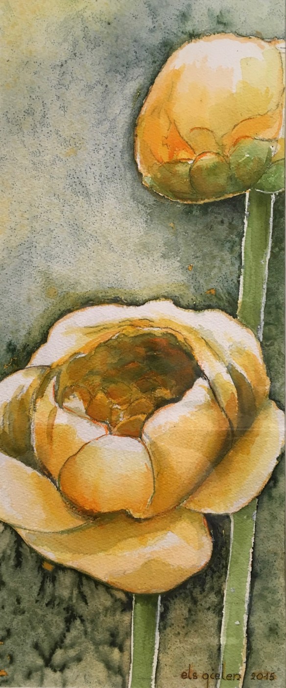 Gele balrozen 34-64  150€.jpg