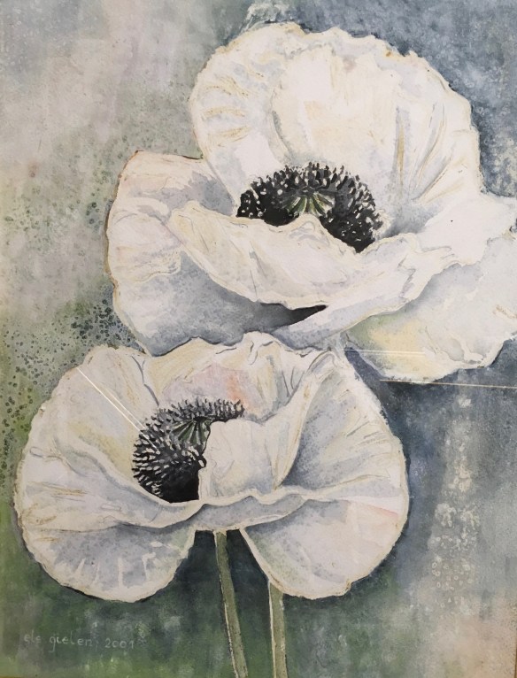 Klaprozen  68-82. 295€.jpg